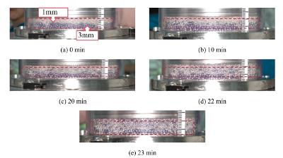 课题组在国际期刊Powder Technology上发表论文
